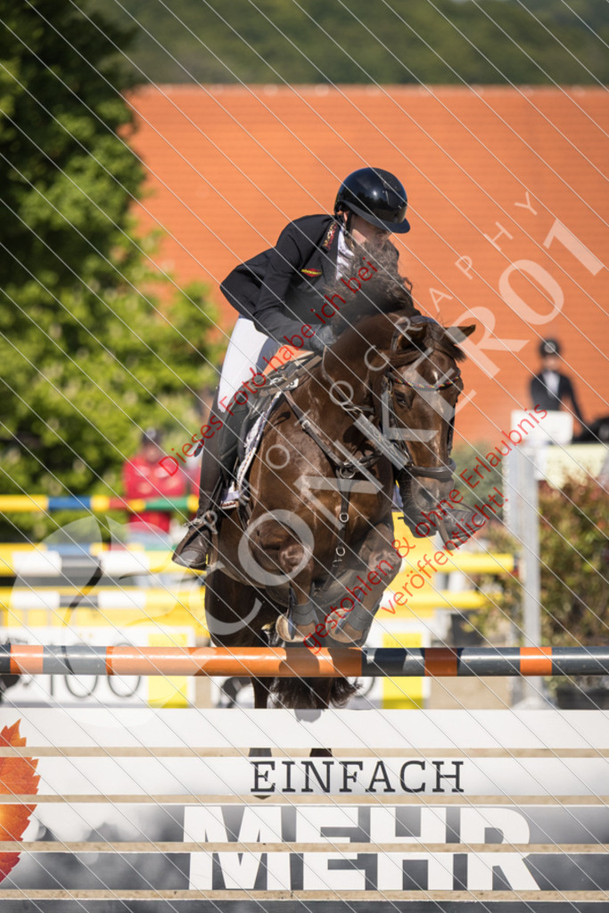 IMG_3555 | Sport-, Event- und Tierfotos in Profiqualität. Einfach auswählen, bestellen und herunterladen. Dein Moment – perfekt festgehalten.