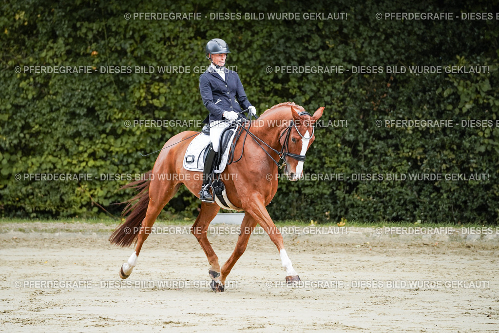 DSC08081 | Pferdegrafie