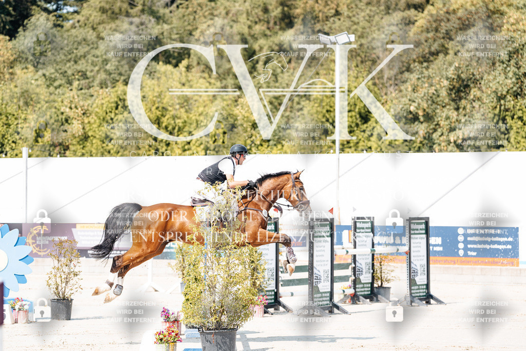 CK901197 | Turnierfotografie Pferdefotografie Trier Rheinland-Pfalz Pferdesport Reitsport Tierfotografie Sportfotografie Pferdevideo Pferdevideografie Equestrianvideography equestrianphotography  - Realisiert mit Pictrs.com
