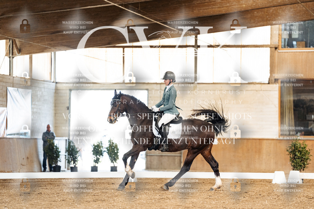 CK900965 | Turnierfotografie Pferdefotografie Trier Rheinland-Pfalz Pferdesport Reitsport Tierfotografie Sportfotografie Pferdevideo Pferdevideografie Equestrianvideography equestrianphotography  - Realisiert mit Pictrs.com