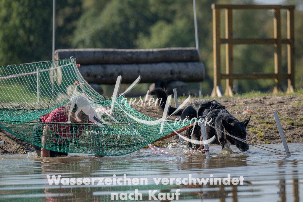 1345_ZZ91297 | kk-dogfotos