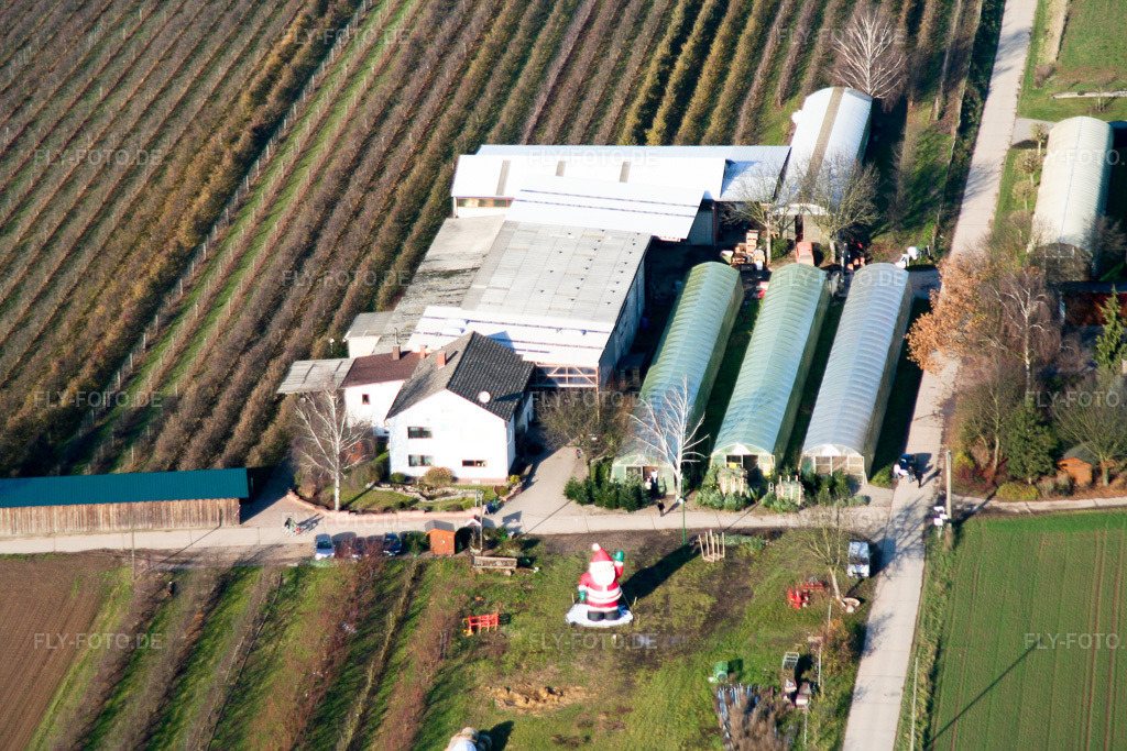 Luftbild: Obsthof Zapf in Kandel im Bundesland Rheinland-Pfalz in Deutschland. Foto: IMG_0152.jpg vom 10.12.2005 durch Werner Riehm/FLY-FOTO.de
