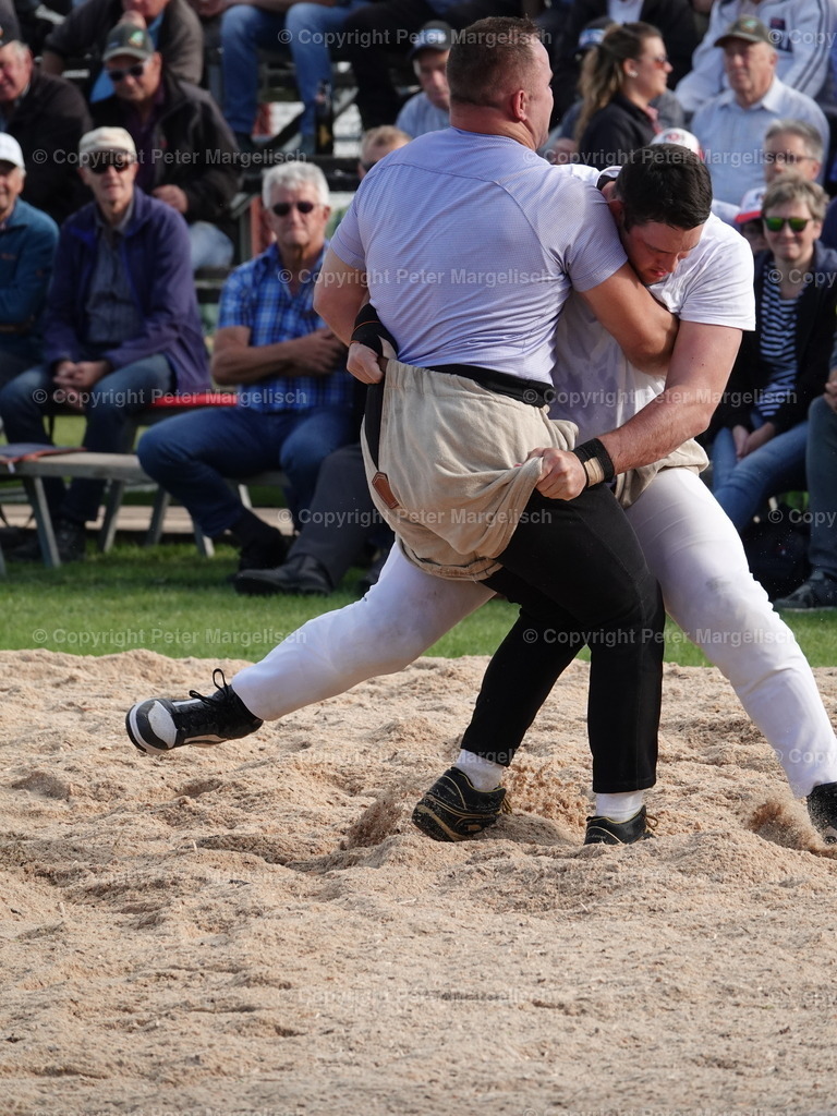 DSC05634 | Schwingen - Realisiert mit Pictrs.com