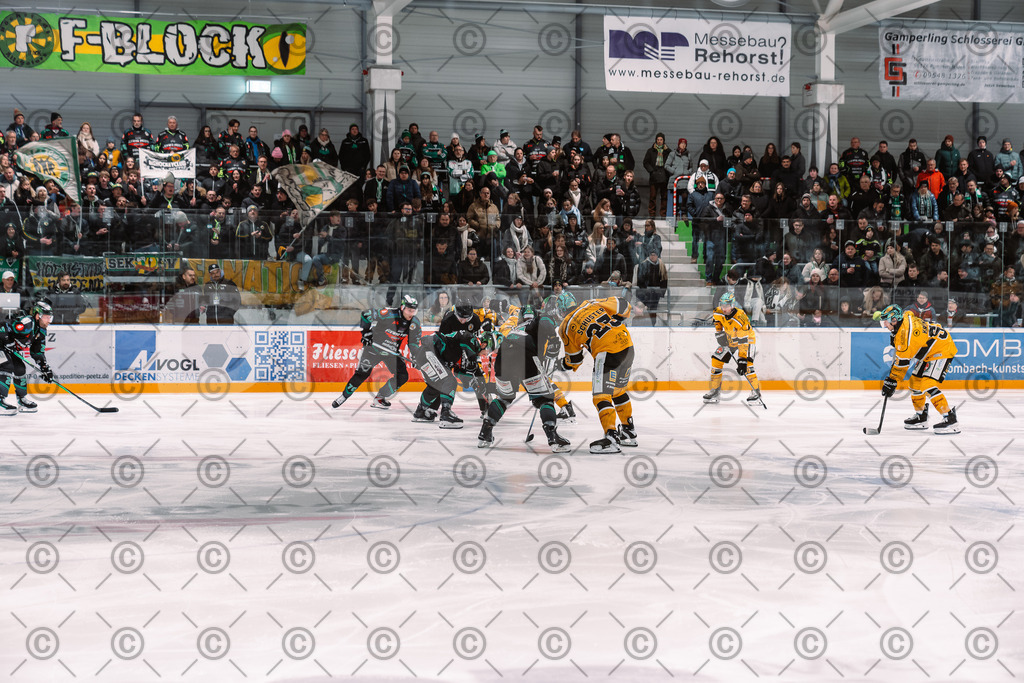 Alligators_vs_Toelz_18_11_2025-30 | Höchstadt Alligators Fotogalerie: Eishockey-Action aus Franken. Professionelle Spielfotos, Portraits & Stadionbilder zum Download. Jetzt entdecken! - Realisiert mit Pictrs.com