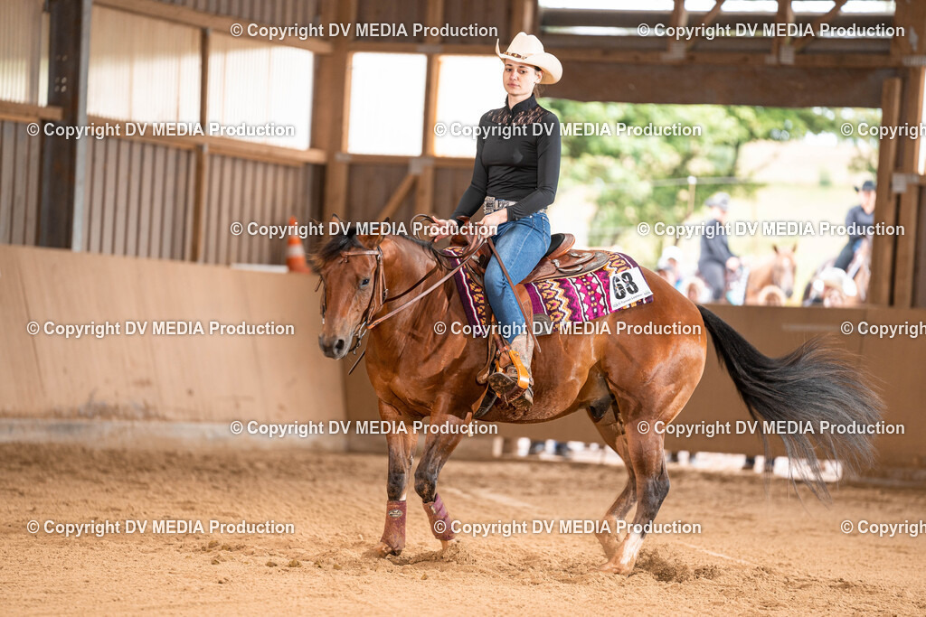 Losheim Tag 1-703 | dv-media-shop - Realisiert mit Pictrs.com