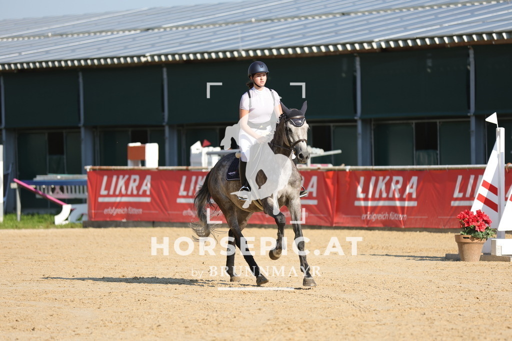 0P6A4544 | Willkommen bei Brunnmayr - Design & Fotografie – Ihrem Spezialisten für Reitturniere und Pferdeveranstaltungen in Oberösterreich, Salzburg und Bayern! Seit über 17 Jahren sind wir leidenschaftlich dabei.