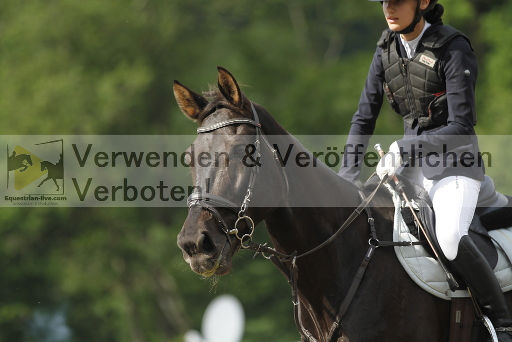 _MG_4532 | equestrian-live-com