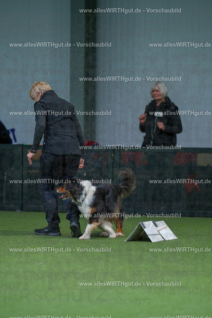 7R506081 | Professionelle Tierfotografie in Mönchengladbach von Daniel Wirth (allesWIRTHgut). Liebevolle & natürliche Bilder von Hunden & Katzen für unvergessliche Erinnerungen.