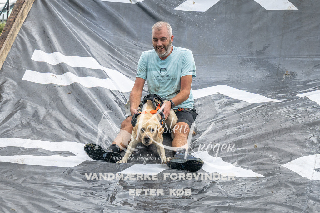 1412_ZZ94685 | kk-dogfotos