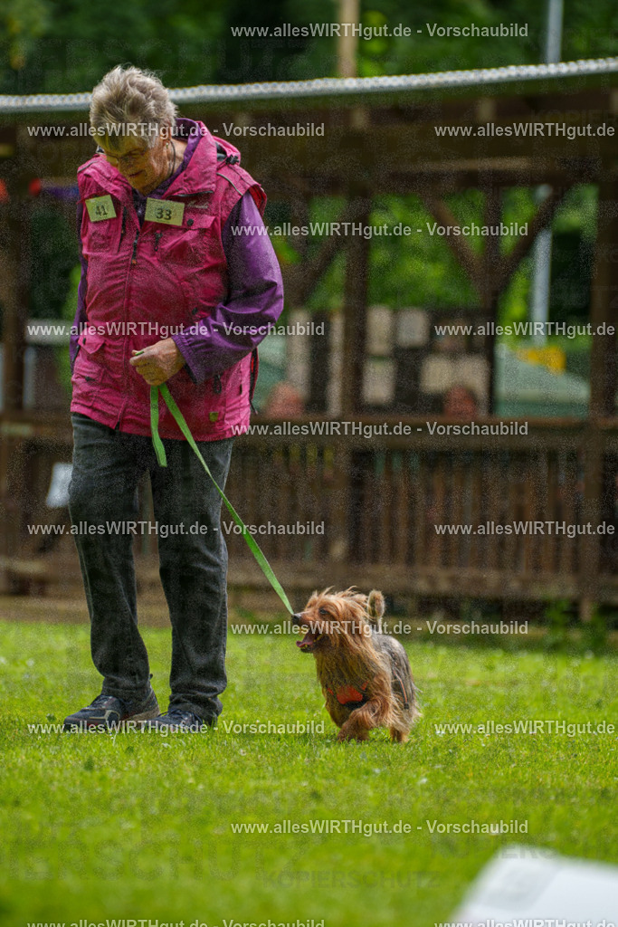 @allesWIRTHgut_Tierfotografie - www.allesWIRTHgut.de - 122340-7R508942 | Professionelle Tierfotografie in Mönchengladbach von Daniel Wirth (allesWIRTHgut). Liebevolle & natürliche Bilder von Hunden & Katzen für unvergessliche Erinnerungen.