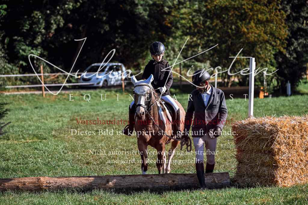 DSC_0304 | Pferde- und Turnierfotografie in Westsachsen. Pferdeportraits, Auftragszeichnungen und intuitive Kunst.