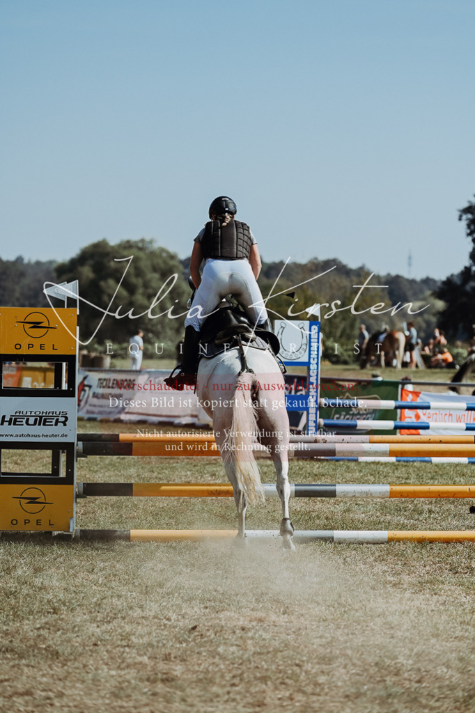 DSC_9360 | Pferde- und Turnierfotografie in Westsachsen. Pferdeportraits, Auftragszeichnungen und intuitive Kunst.