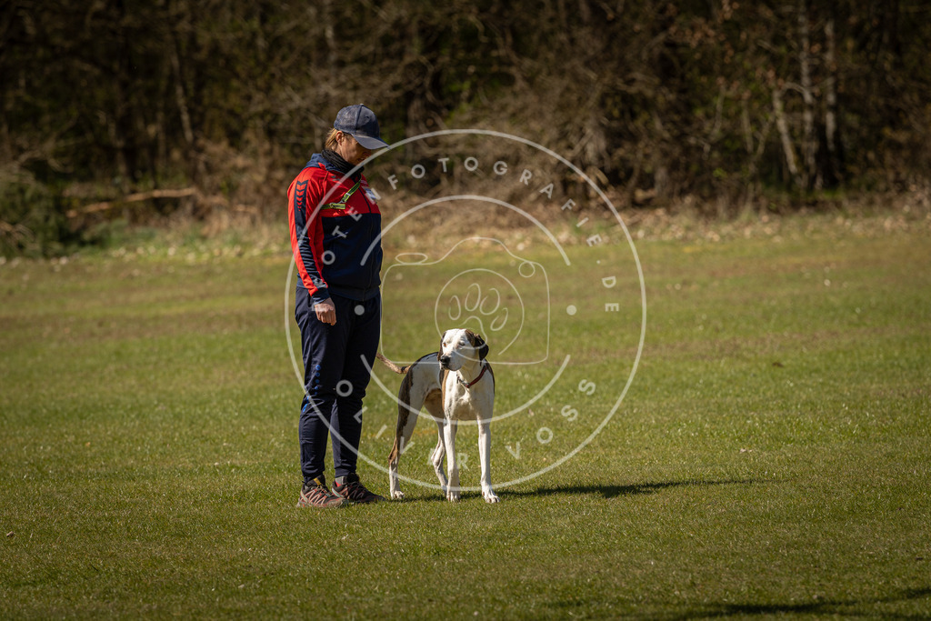 Pfotenfotografie_DV3A0731 | Hundefotografie, Tierfotograf, Pfotenfotografie, Fotoshooting Hund, Hunde Portrait, Hundesport, Hundeportraits, Heideshooting, Hunde, Sportfotograf, Hundefotograf, Turnierhundsport, THS,  - Realisiert mit Pictrs.com