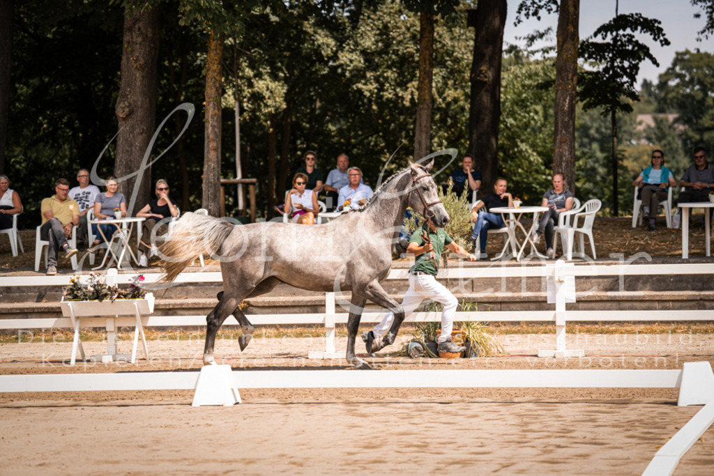 1.Fr00021 | Leoni Ertmer Photography - Realisiert mit Pictrs.com