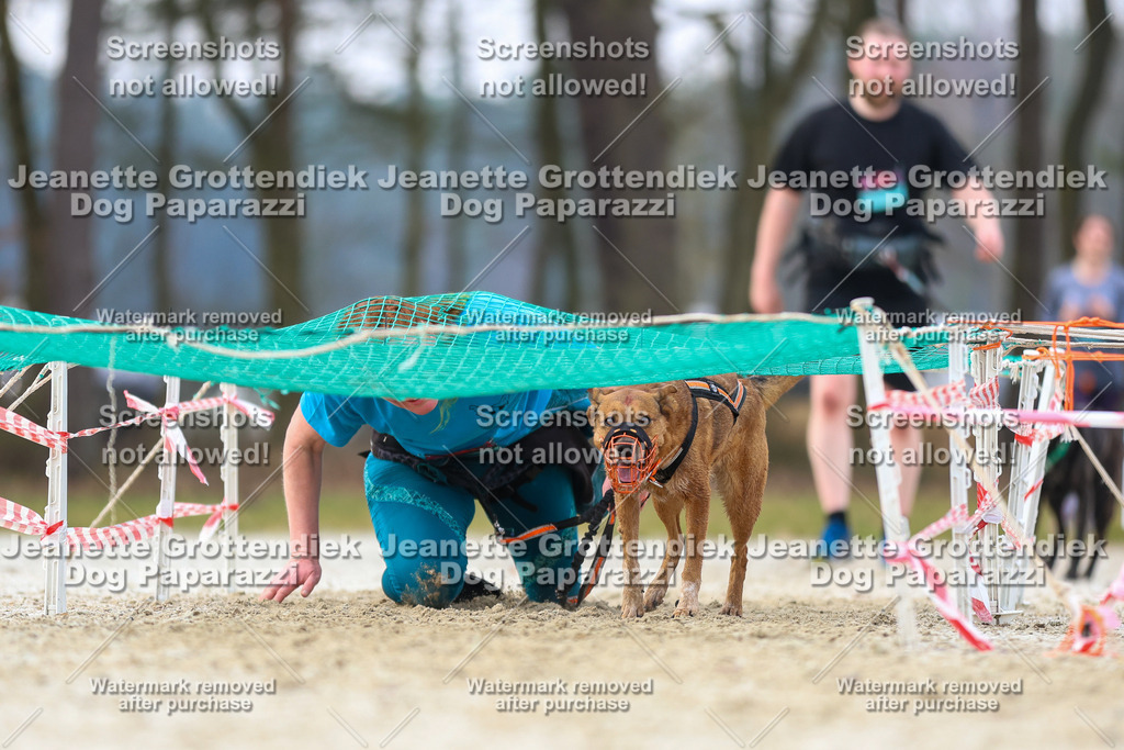 Dog Paparazzi - Strongdog North Mrz26-4051 | Dog Paparazzi Jeanette Grottendiek Fotografie & Videografie - Realisiert mit Pictrs.com
