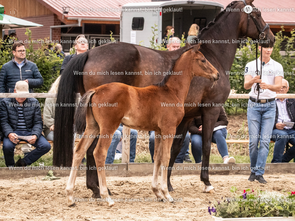 A10I6526 | photographylinaismer - Realisiert mit Pictrs.com