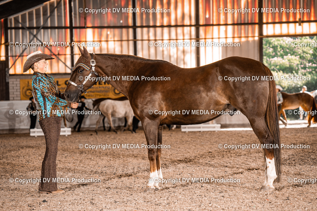 ZH100130 | dv-media-shop - Realisiert mit Pictrs.com