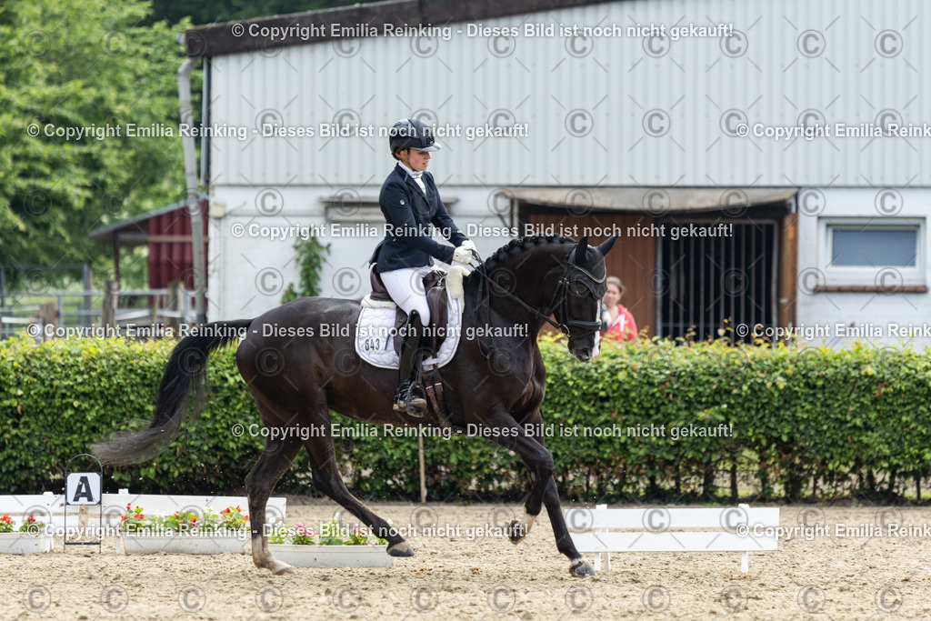 CL5A4943 | Emilia Reinking Fotografie - Realisiert mit Pictrs.com