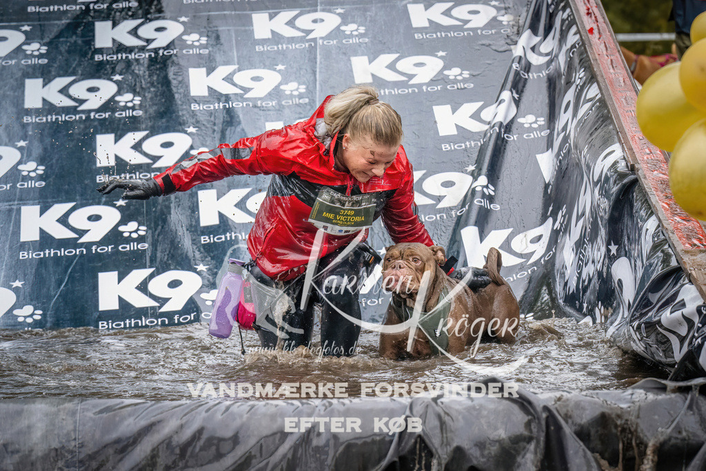1237_ZZ90286 | kk-dogfotos