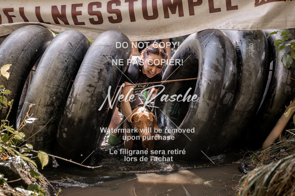 nelerasche_Hunsrück2026_Sa1400-1500_375 | nelerasche
