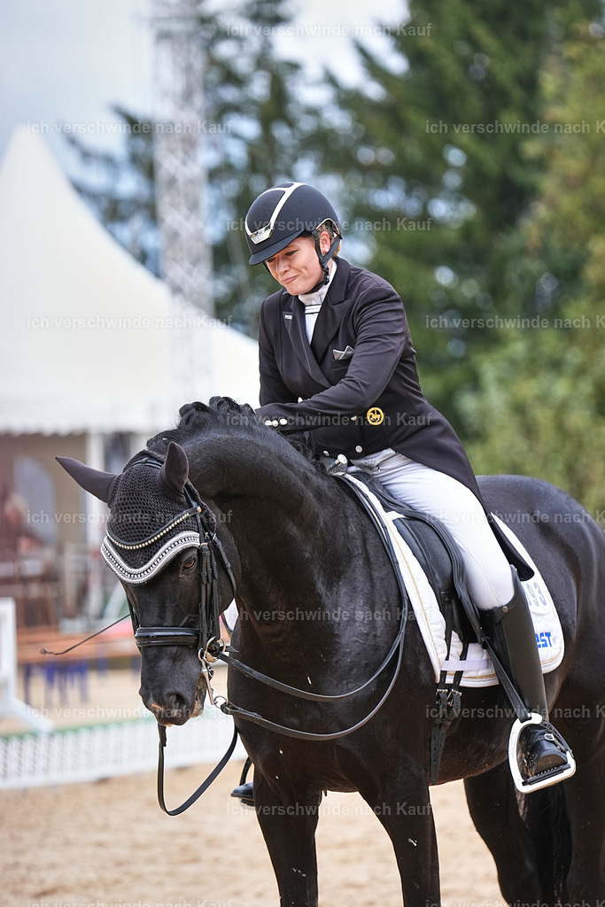 07-093-DRESSUR  S___  -Marixx-5145 | working equitationturnier fotograf videograf stoibphotography marixx film working equitation deutschland reitsport turnierfotografie eventfotografie equestrian events