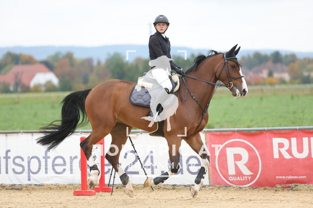 0P6A2903 | Willkommen bei Brunnmayr - Design & Fotografie – Ihrem Spezialisten für Reitturniere und Pferdeveranstaltungen in Oberösterreich, Salzburg und Bayern! Seit über 17 Jahren sind wir leidenschaftlich dabei.