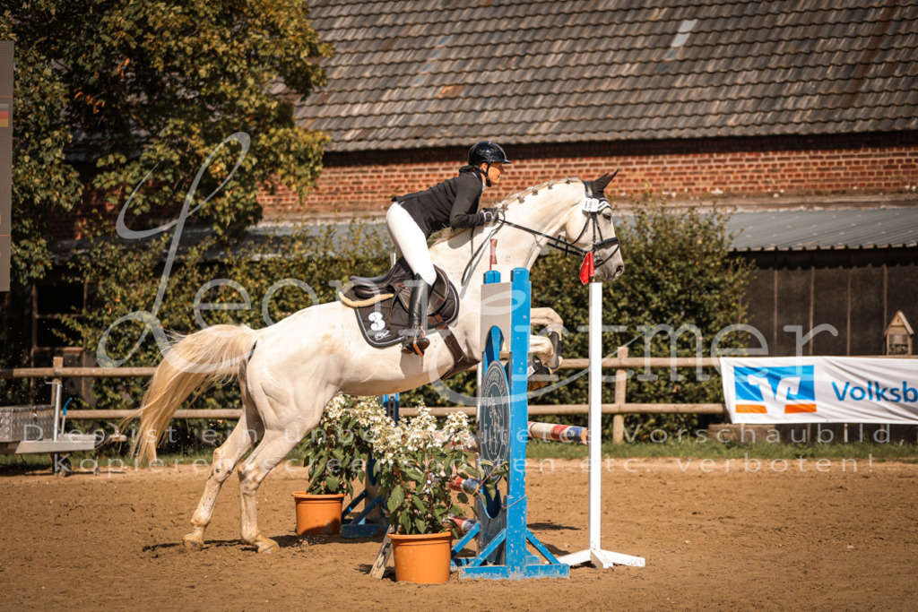 05.SaSpE00209 | Leoni Ertmer Photography - Realisiert mit Pictrs.com