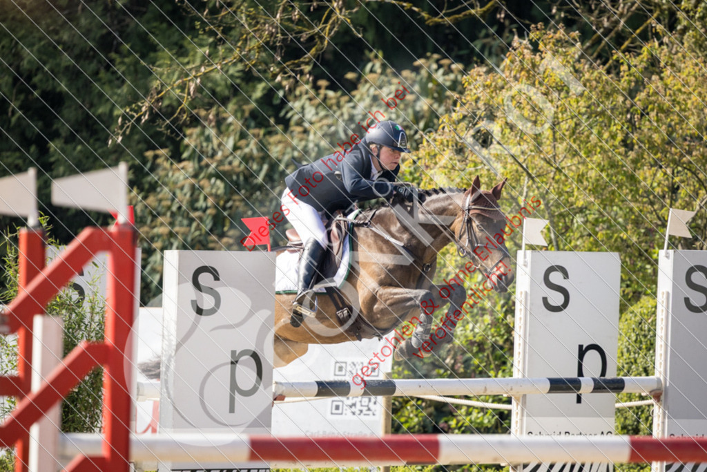 CON_0241 | Sport-, Event- und Tierfotos in Profiqualität. Einfach auswählen, bestellen und herunterladen. Dein Moment – perfekt festgehalten.