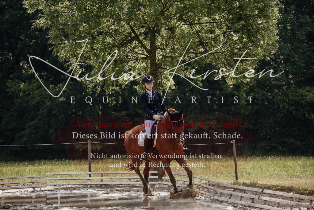 DSC_8947 | Pferde- und Turnierfotografie in Westsachsen. Pferdeportraits, Auftragszeichnungen und intuitive Kunst.