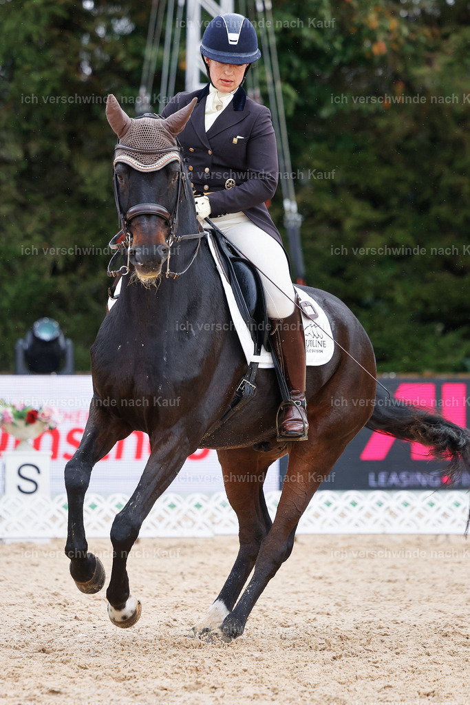 07-191-DRESSUR  S___  -StoibPH-4992 | working equitationturnier fotograf videograf stoibphotography marixx film working equitation deutschland reitsport turnierfotografie eventfotografie equestrian events