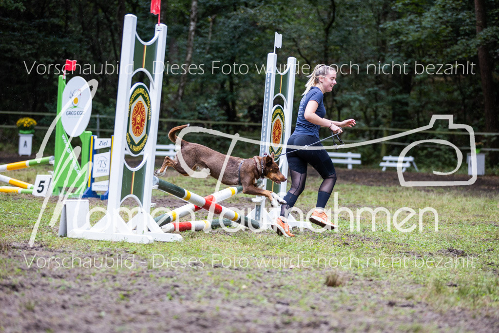 HB-JaD-034 | MomenTaufnahmen Pferdesportfotos