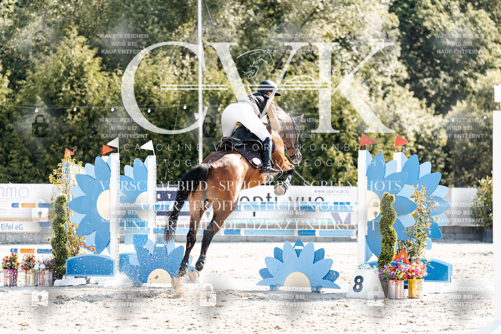 CK902392 | Turnierfotografie Pferdefotografie Trier Rheinland-Pfalz Pferdesport Reitsport Tierfotografie Sportfotografie Pferdevideo Pferdevideografie Equestrianvideography equestrianphotography  - Realisiert mit Pictrs.com