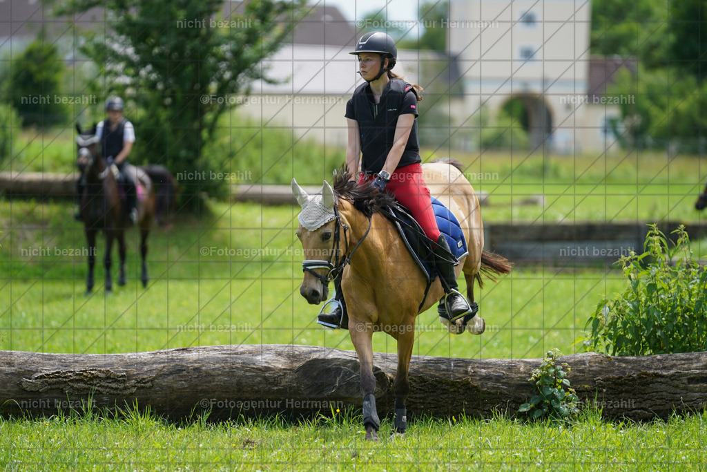 20240622-FAH07457 | Turnierfotografen Bayern, Reitsportbilder aus dem Geländekurs mit Felix Etzel auf dem Gut Waitzacker 2024