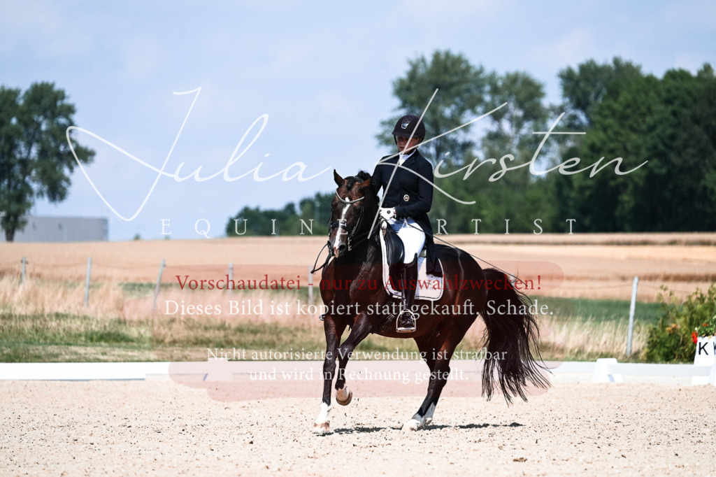DSC_2963 | Pferde- und Turnierfotografie in Westsachsen. Pferdeportraits, Auftragszeichnungen und intuitive Kunst.