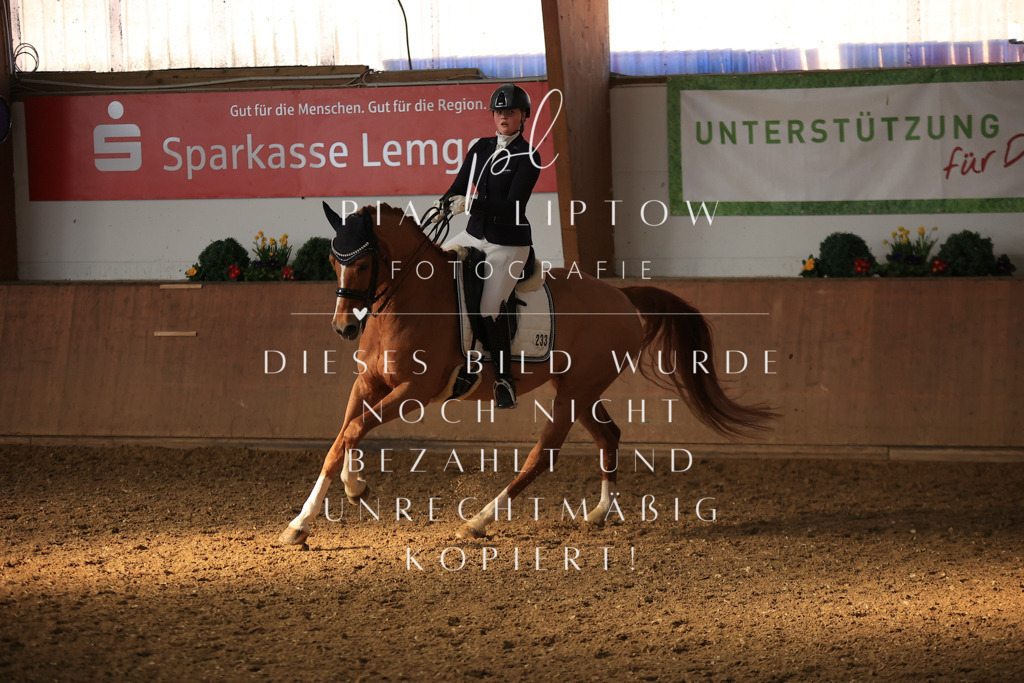 IMGT2003 | pl-fotografie