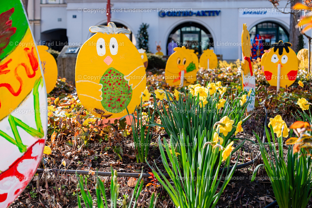 Frohnleiten Osterdeko 09042025 | Fotos und Fotoprodukte - Realisiert mit Pictrs.com