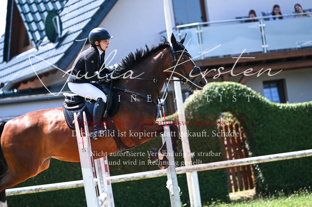 DSC_0060 | Pferde- und Turnierfotografie in Westsachsen. Pferdeportraits, Auftragszeichnungen und intuitive Kunst.