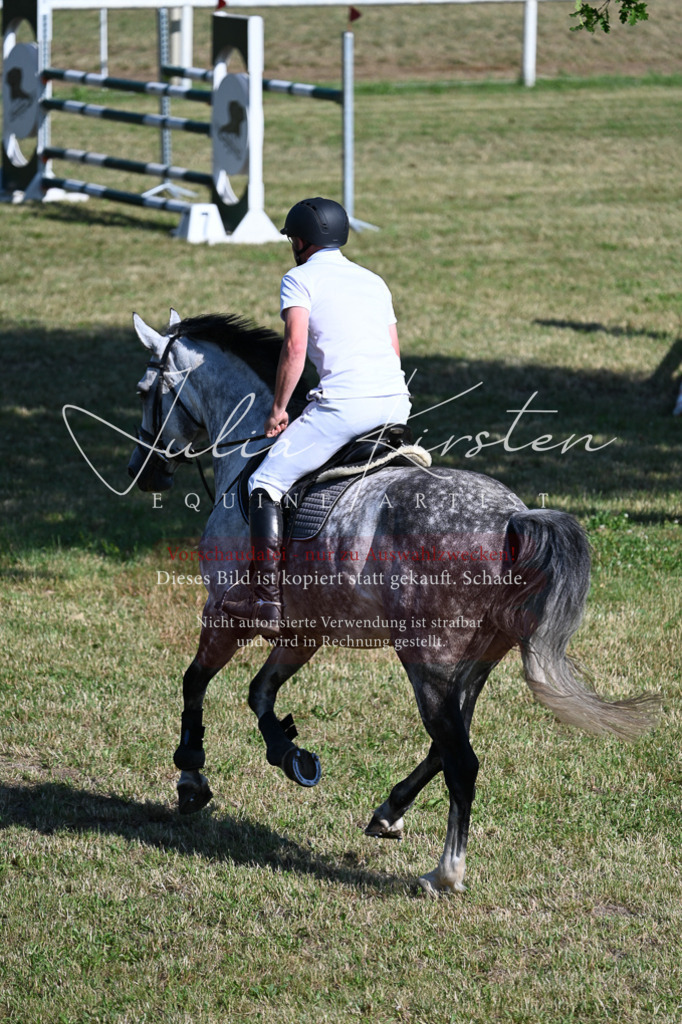 DSC_2242 | Pferde- und Turnierfotografie in Westsachsen. Pferdeportraits, Auftragszeichnungen und intuitive Kunst.