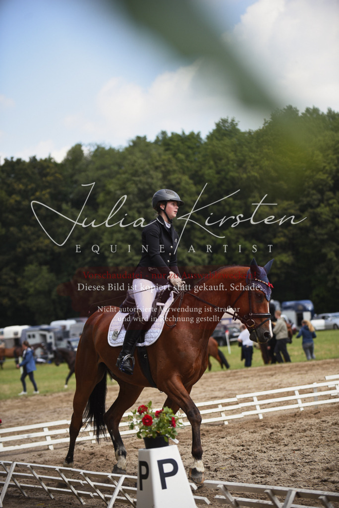 DSC_0759 | Pferde- und Turnierfotografie in Westsachsen. Pferdeportraits, Auftragszeichnungen und intuitive Kunst.