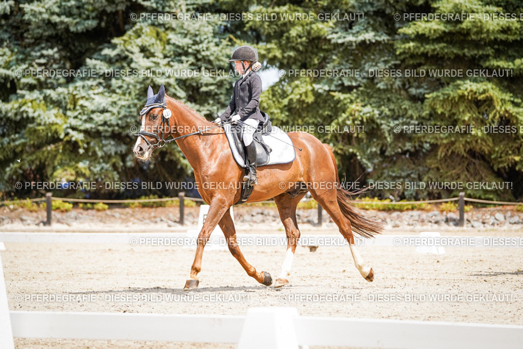 DSC03335 | Pferdegrafie