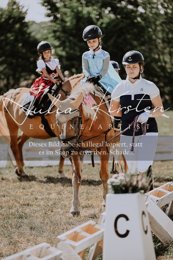 DSC_8967 | Pferde- und Turnierfotografie in Westsachsen. Pferdeportraits, Auftragszeichnungen und intuitive Kunst.