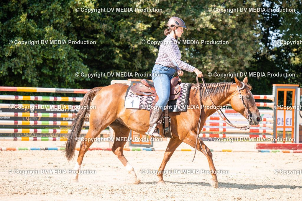 ZH100707 | dv-media-shop - Realisiert mit Pictrs.com