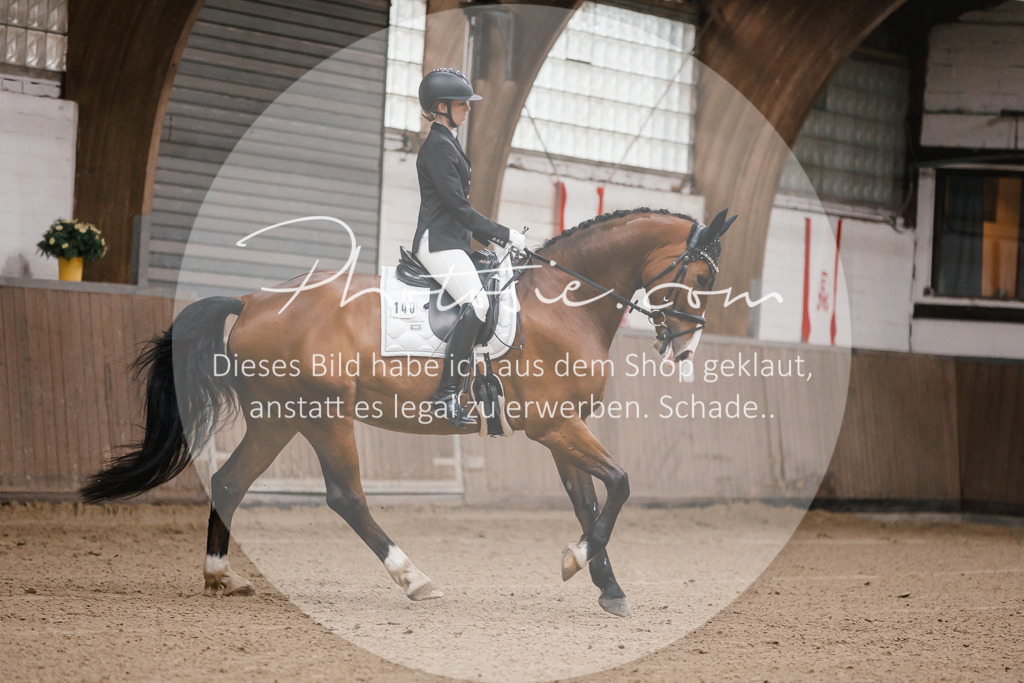 3I6A6358 | Stimmungsvolle Portraits und Reitsportfotografie im Ruhrgebiet und im Münsterland.

Pferdefotografie, Hundefotografie, Tierfotografie, Reportagen, Portraits von Tier und Mensch, Turnierfotografie in Bochum, Recklinghausen, Marl, Haltern am See, Dülmen.. - Realisiert mit Pictrs.com