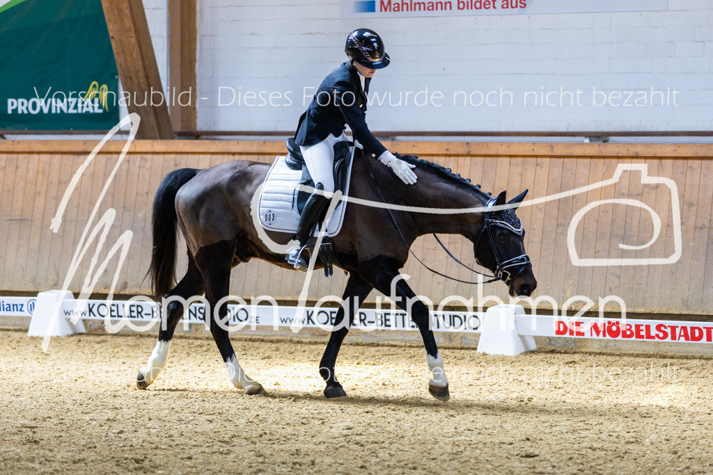 Sth-LPO25-DrR-L-161 | MomenTaufnahmen Pferdesportfotos