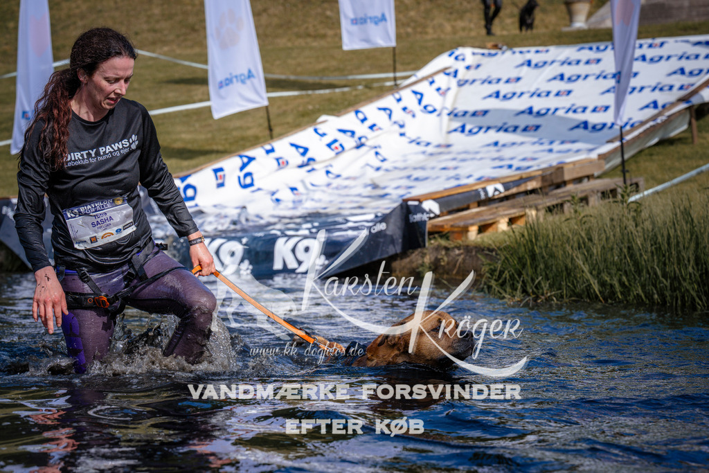 _ZZ981270754 | kk-dogfotos