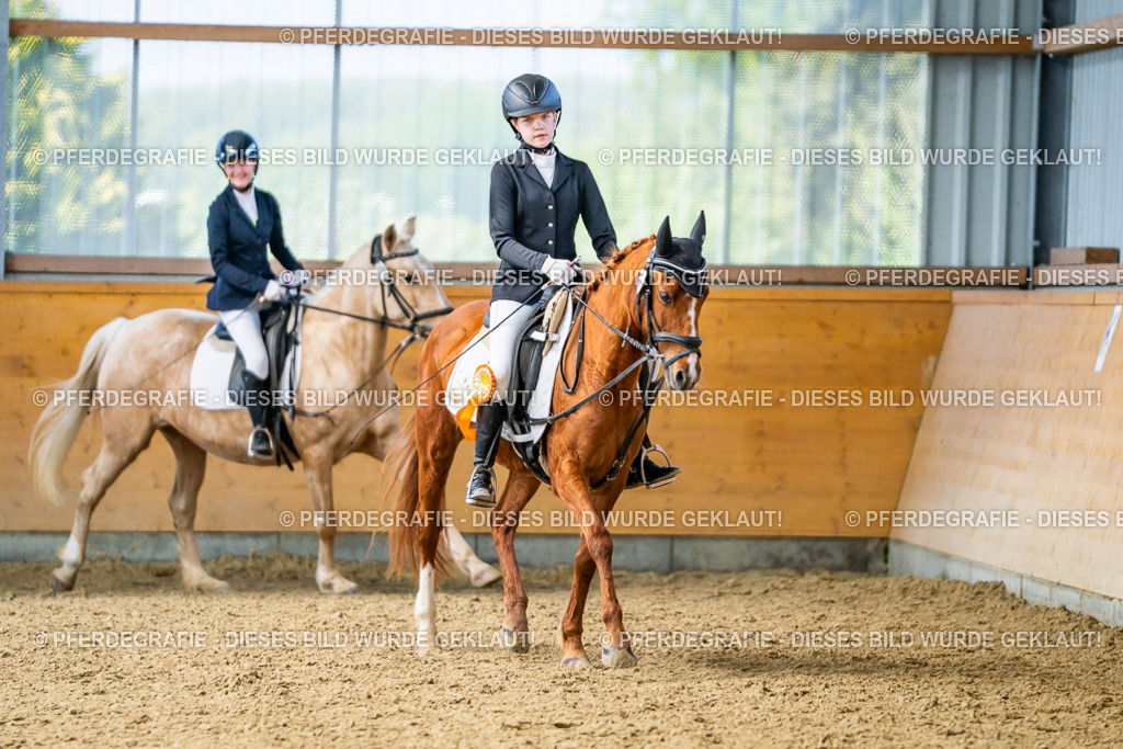 DSC03865 | Pferdegrafie