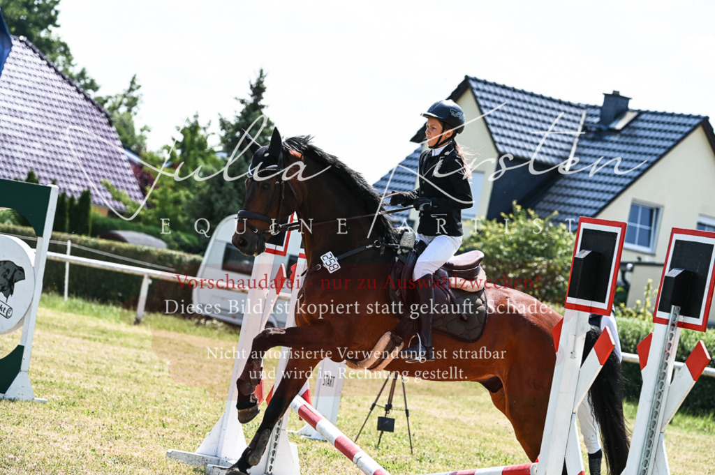DSC_9858 | Pferde- und Turnierfotografie in Westsachsen. Pferdeportraits, Auftragszeichnungen und intuitive Kunst.