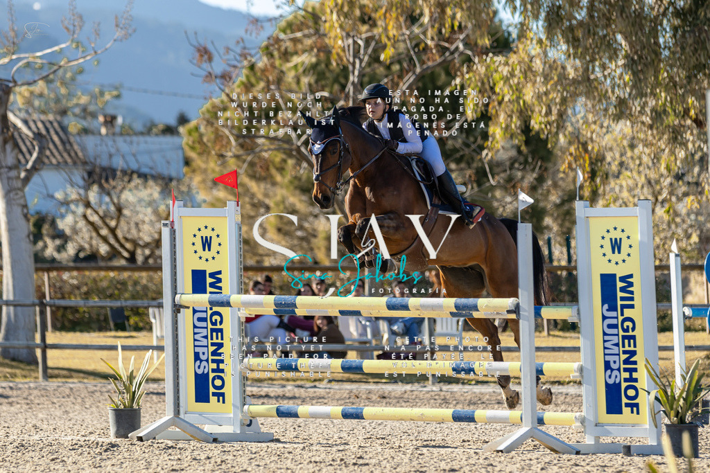 IMG_2208 | s-jay-photography - Realisiert mit Pictrs.com