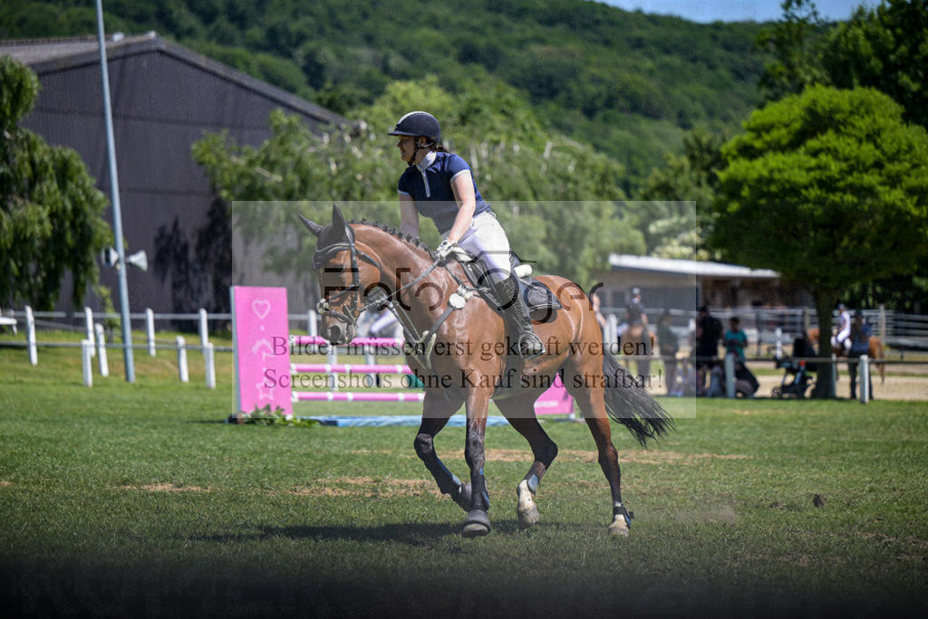 Reitturnier Voxtrup | Entdecke hochwertige Reitturnierfotos von Foto Oger. Professionell, emotional und authentisch – jetzt Lieblingsmomente im Shop bestellen. - Realisiert mit Pictrs.com