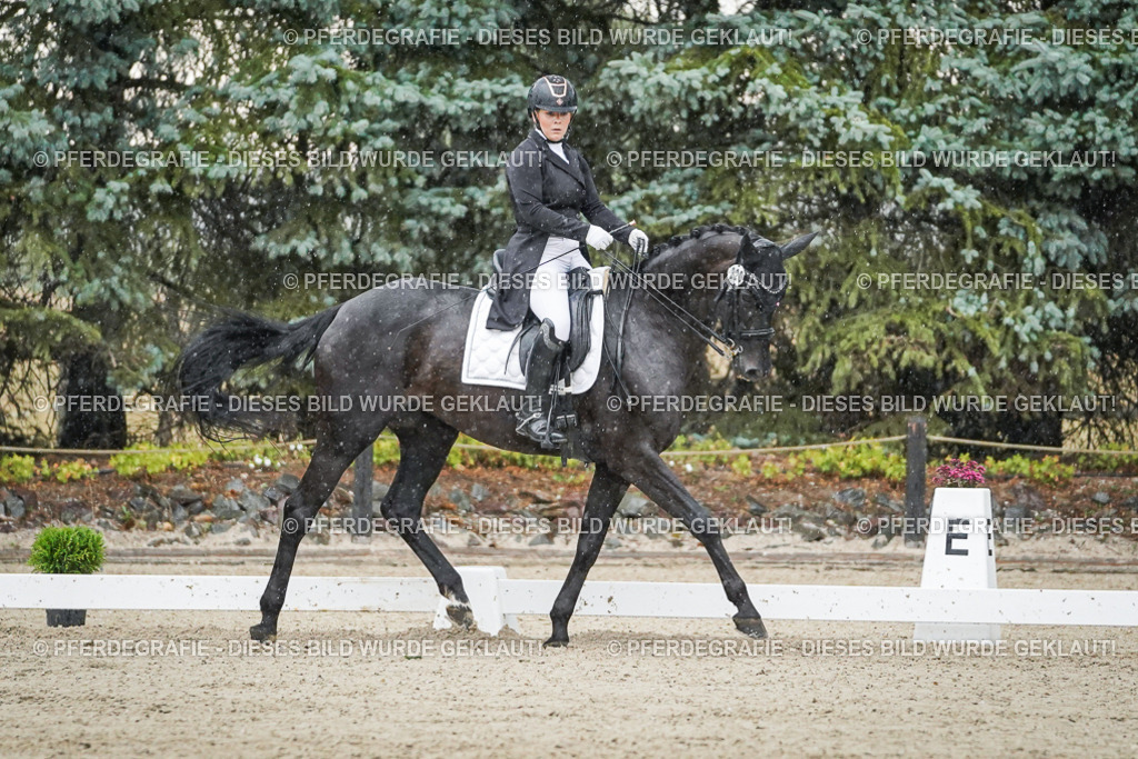 DSC08312 | Pferdegrafie